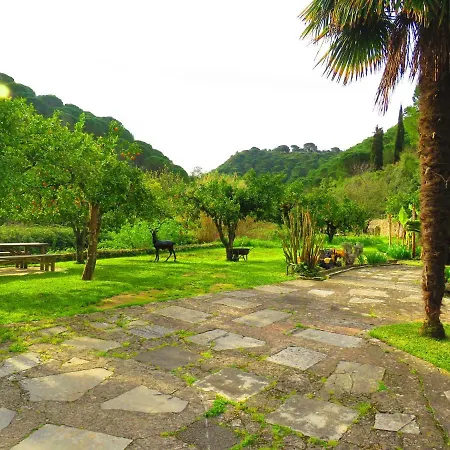 Casa vacanze Cozy House With View